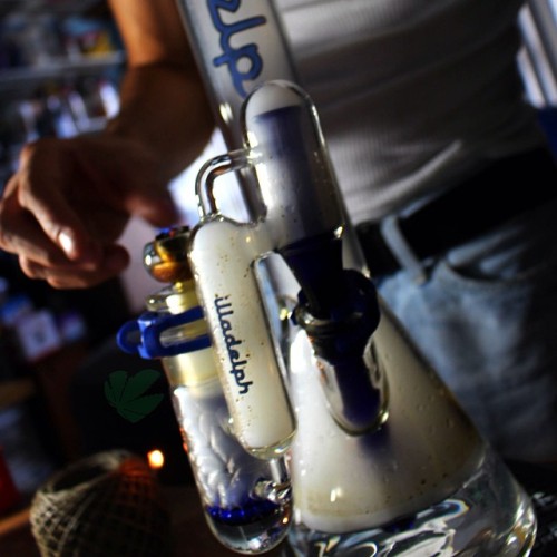 weedporndaily:  #smokeweedeveryday #illadelph #glassofig #glassporn #bongrips #bonghits @illadelphglass #weedporndaily #stayregular #superstoners by @therealwpd
