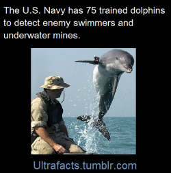 ultrafacts:  Source  Follow Ultrafacts for more facts daily.