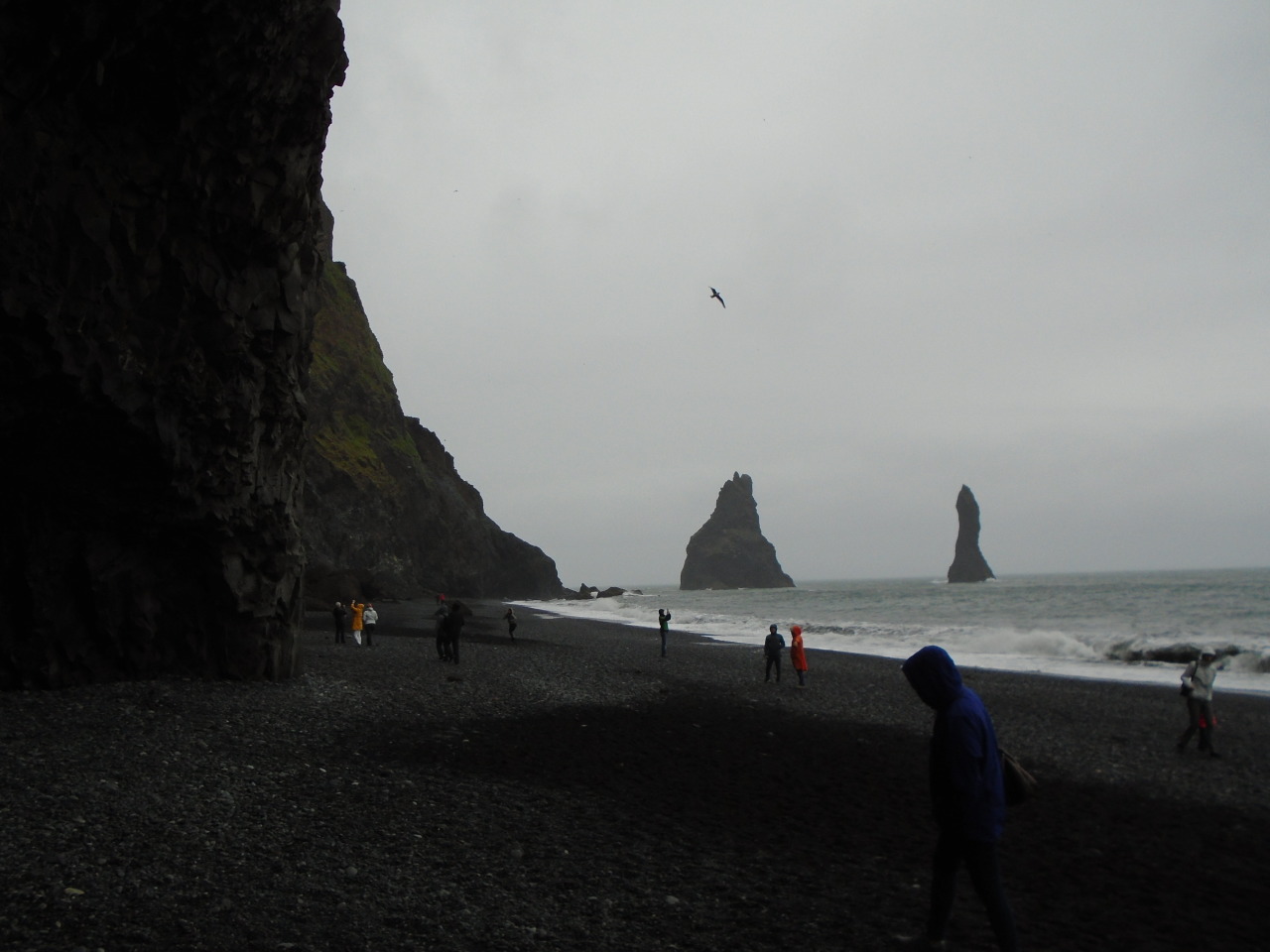 fialleril:  Basalt formations near Vik, Iceland