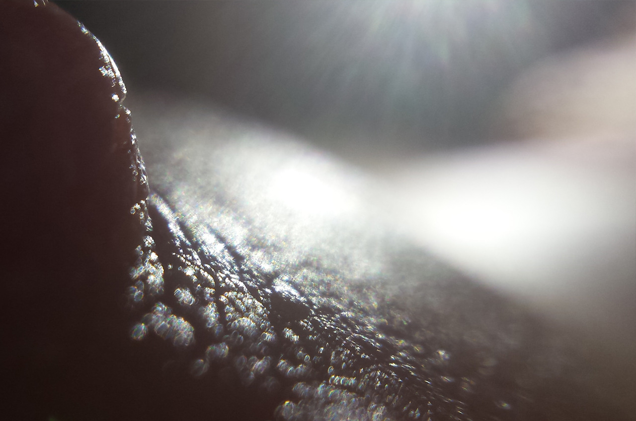 margary:  My friend’s nipple looks like an alien landscape with my macro lens.