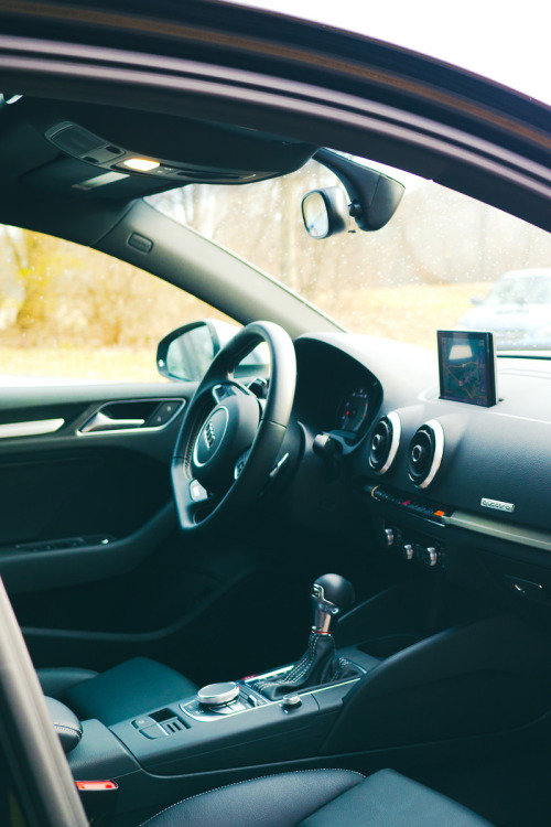 avenuesofinspiration:  Want a ride? | © | AOI 