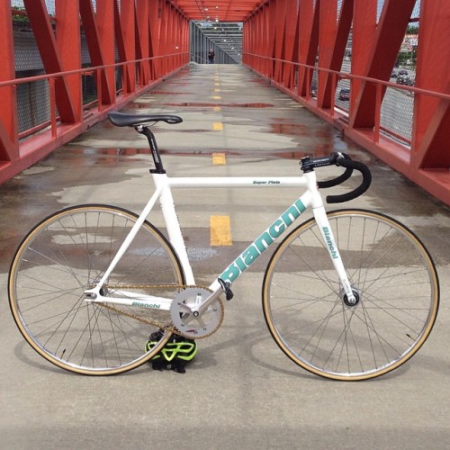 thebicycletree: New bike day! Big thanks to @mikecedeno21 @southmiamibikeshop & @omniumbicycles 