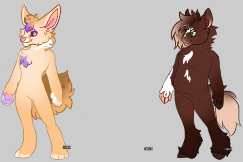 These Fellas Were Originally For Sale On Chicken Smoothie For C$ But Ended Up Not Selling. So I Figured