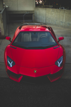 luxury-addictions:  follow for more luxury