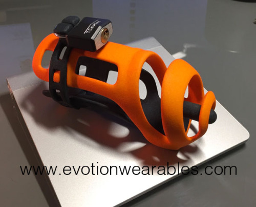chastejasp: uklockedsub: Oooh, these look promising. If they’re practical ID get a PA speciall