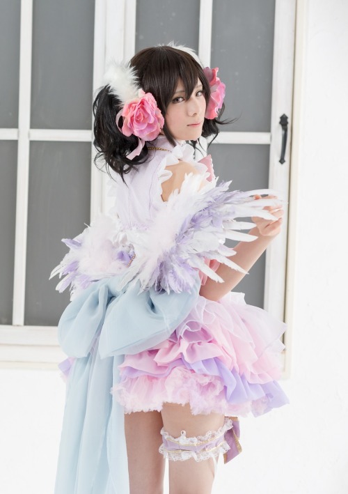 Nico Yazawa -  うさ吉Photo by Flameworks7