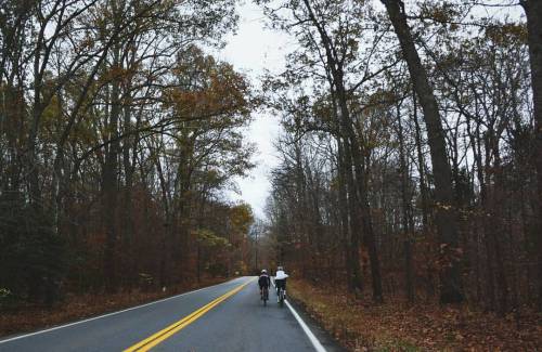 Missed out on all the foliage #cycling #fallvibes