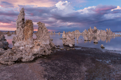  Mono Lake Follow In search of beauty and please don’t copy…. reblog Only high resolution pictures!!