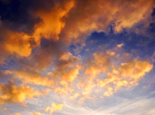Magic is everywhere&hellip; Just look up ⛅️ #northfork #grateful #cloudgasm