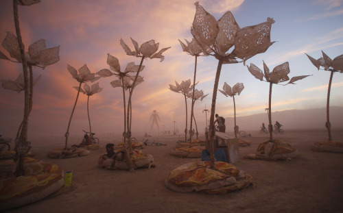 farewell-kingdom:  The art installation Pulse & Bloom, the Burning Man 2014 “Caravansary” arts and music festival in the Black Rock Desert of Nevada   Burning man is something I WILL go to at some point in my lifetime!