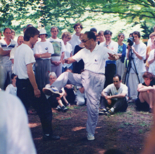 My principle teacher, Wang Yen-nien (王延年) demonstrating just where to kick me. Strausbourgh, 1995.