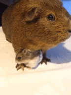 Best friends ever!