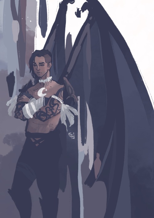 Illyrian Water Tribe WarriorSokka as an Illyrian warrior. I didn’t even know that I needed this.