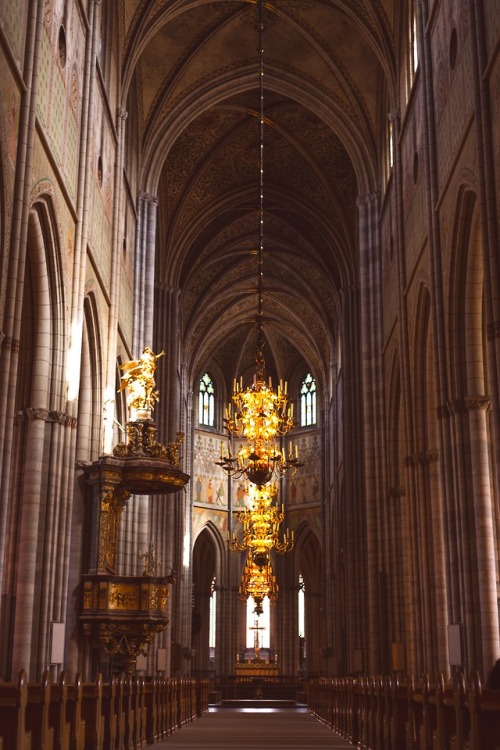 venusverticordias:Uppsala Cathedral, Uppsala,  Sweden by Malte Wingen