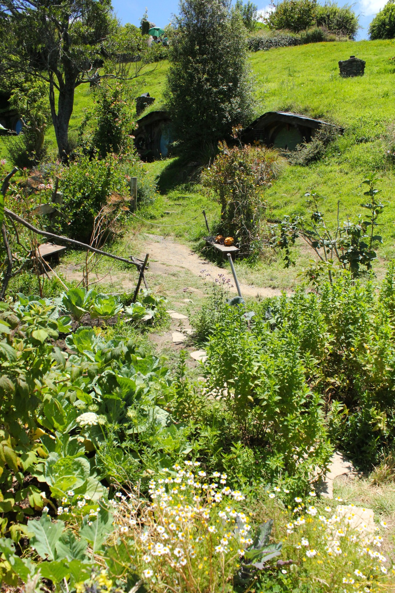 fashbashmash:  My own shots from my trip to Hobbiton yesterday :) Photos: 1. Inside