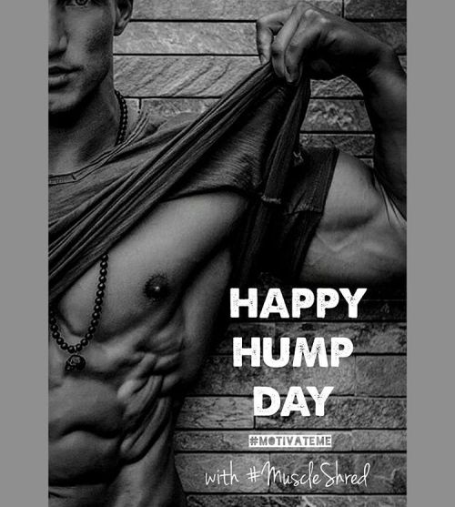 #HappyHumpDay Let&rsquo;s have an Abs..olutely outstanding day. #MuscleShred by #MotivateME #motivat