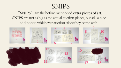 After Auction Post + Auction Bidder Votes on SNIPS Again I can’t thank all of you enough. This has been a very nice experience from start to finish. Everything went down smoothly and I couldn’t have hoped for a better result. You guys are