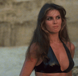 gifsfrommydvds: