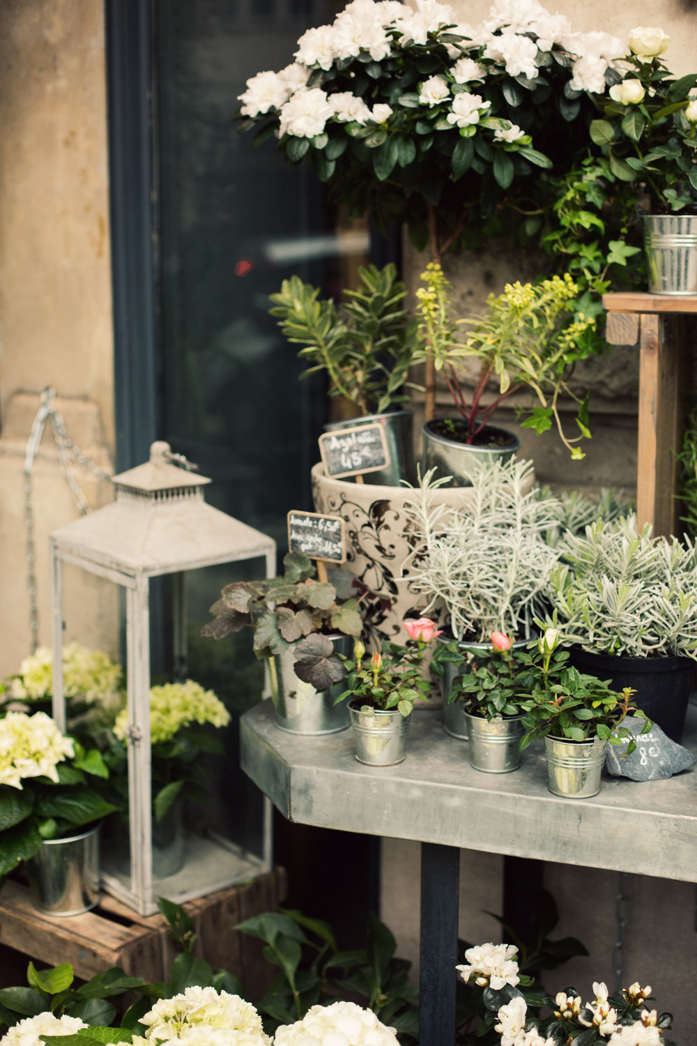 cold-hearted-snake:  annstreetstudio:  A Parisian getaway for quiet reflection on