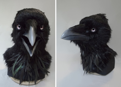 Raven - moving jaw, poseable eyelids, and reclaimed-feather beard/ruff.