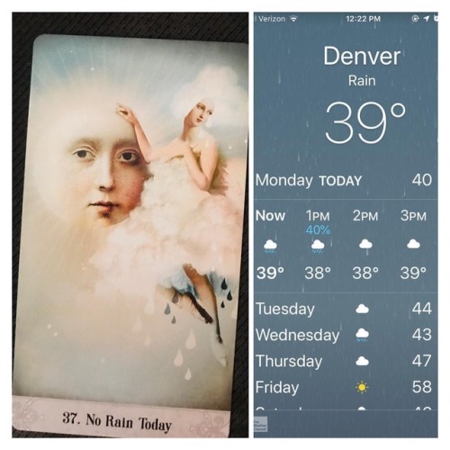When your oracle deck is trolling you because there is in, fact, nothing but rain today. But probabl