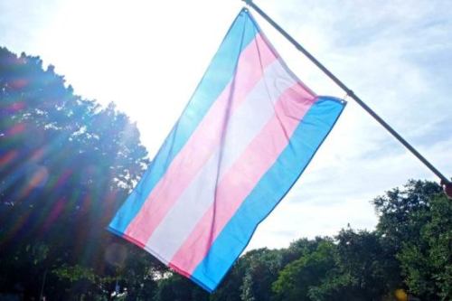 Today, March 31st, is Transgender Day of VisibilityIt’s a day for celebration, empowerment, and educ