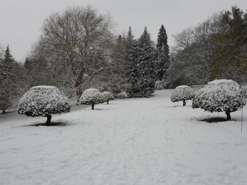 travels-ofadreamer: Tyntesfield, Somerset