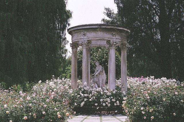 veritas