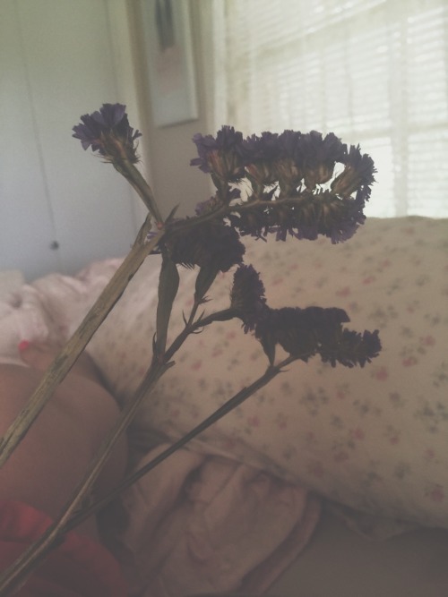 whisperingbones:  I don’t write about you anymorebut I’ve brought these flowersto every home we’ve never shared together.