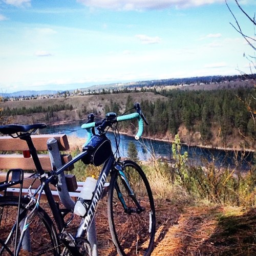 Just out for a beautiful stroll! #cycling #training #specialized #fitness #fitlife #workout #healthn