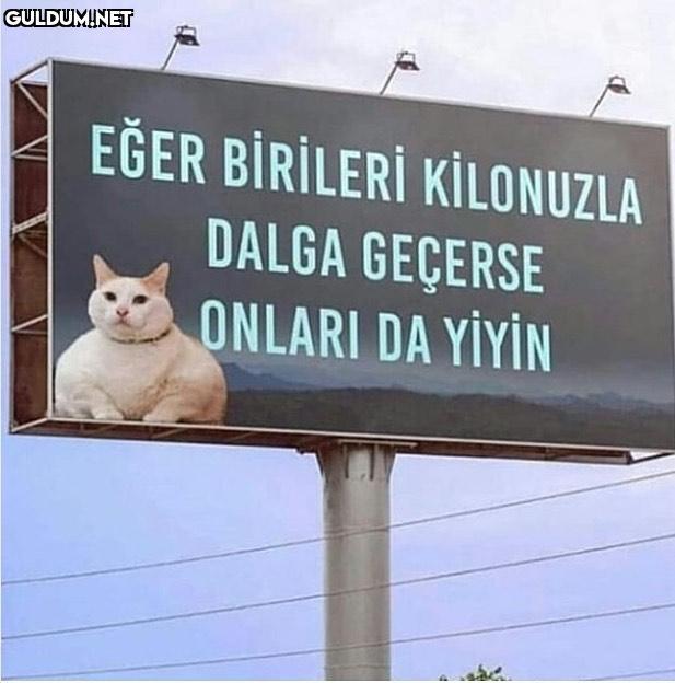 ham yapmak istediklerinizi...