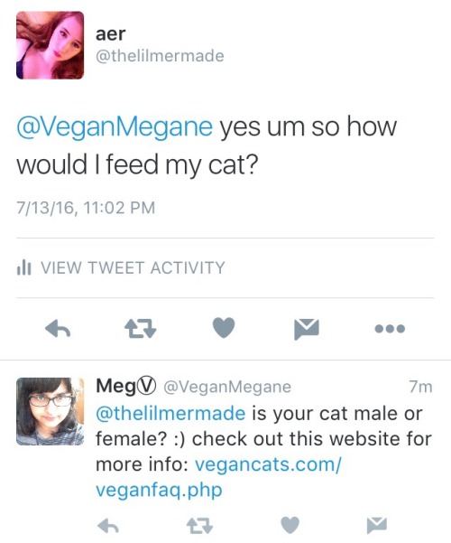 iswearimnotnaked:hi hello CATS!!!! CANNOT!!!! BE VEGAN!!!!! i cannot believe i have to fucking say t