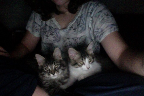 believeintheheartofthecards:My legs have been asleep for over an hour but they’re too cute to move