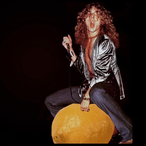 rock6880: ☺️ Led Zeppelin Lemon Life