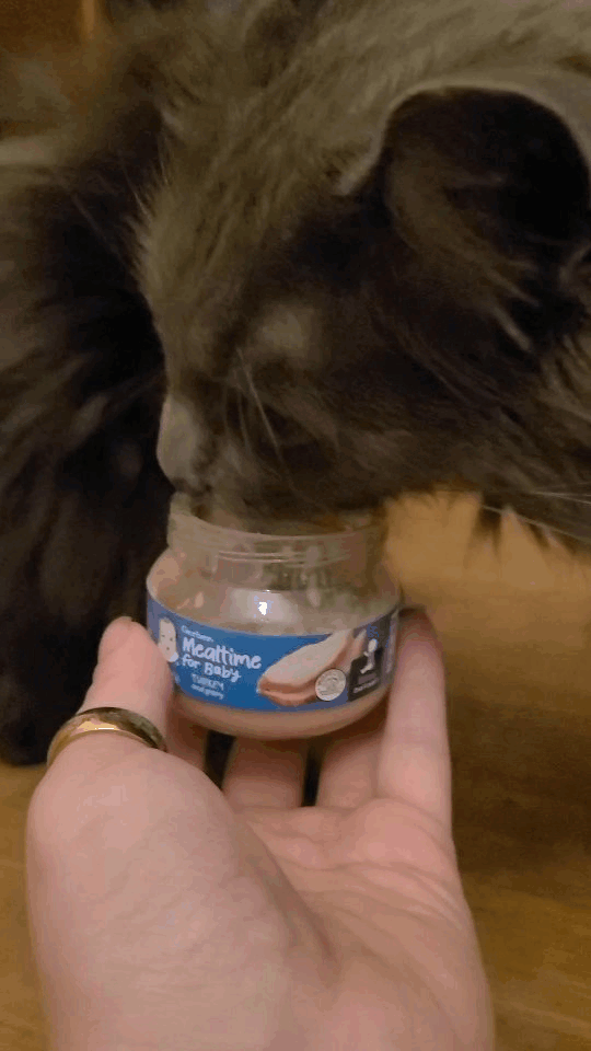 Hey, If Your Cat Happens To Love The Churu Squeezy Cat Treats, Or Similar Equivalent, I'm Here To Tell
