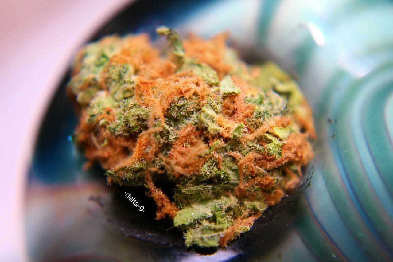 -delta-9-:  Hairy Bowls.