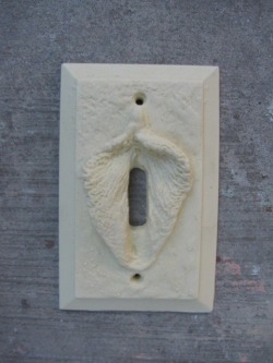 ladylove78:  zeezrom:  Light switch plate