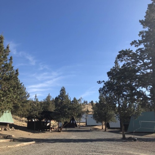 Back at it again in Clarno (at Hancock Field Station)