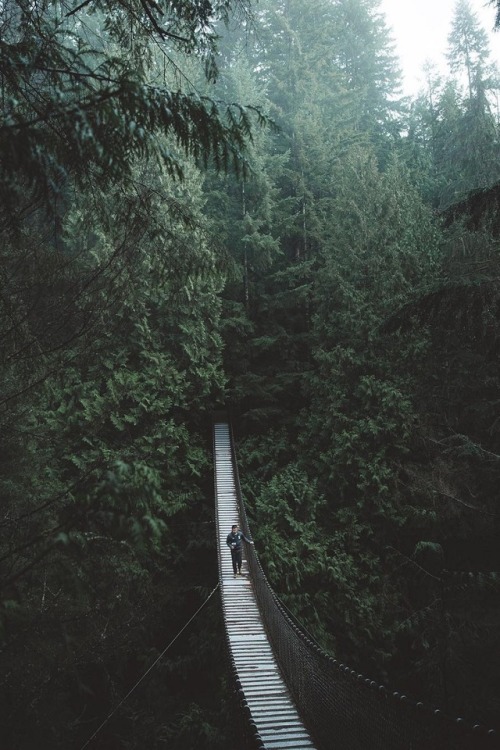 alecsgrg: Out in the trees | ( by Bryan Daugherty )