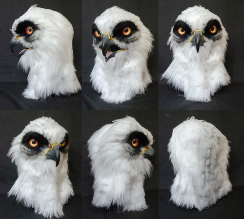  A commissioned Aarakocra, based on a white tailed kite! Resin base with moving jaw, and a combinati