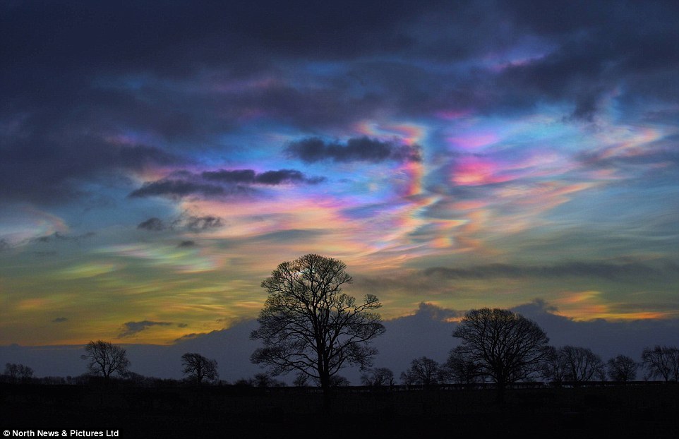 sixpenceee:  They may look like an Impressionist masterpiece, but these rare nacreous