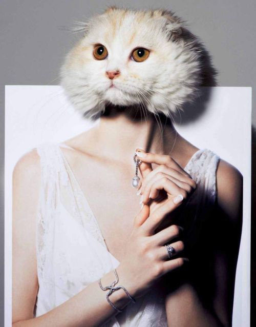 wikoni: My Kitty Loves Diamonds Vogue Japan | Photo: Masanori Akao