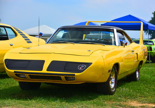 carpr0n:  Starring: Plymouth Superbird  by scott597