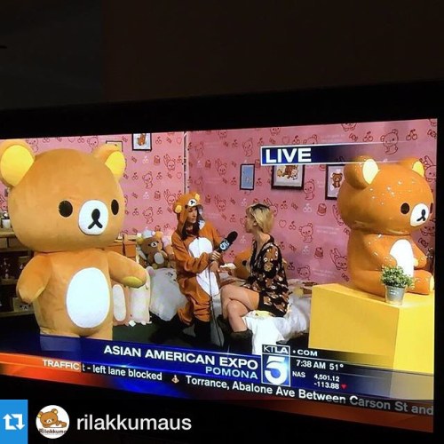 Hey! Our #JapanLA x Rilakkuma Cardigan was on TV today!#Repost @rilakkumaus ・・・ We had a special a