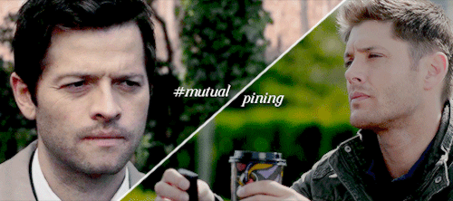 Deancas + Favorite Fanfiction Tropes
