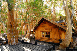 oliviatheelf:  Old Cabin in the Woods (Los
