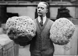 Giant Mediterranean sponges to be sold at
