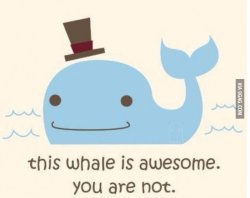 funfactsfotos:  Just whale things