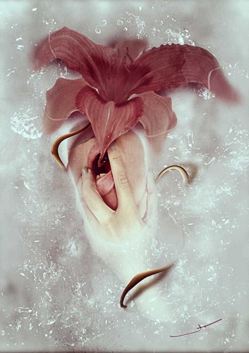 eatsleepdraw: Hemerocallis (flowers self-portrait series)  Photomanipulation—Immediately 
