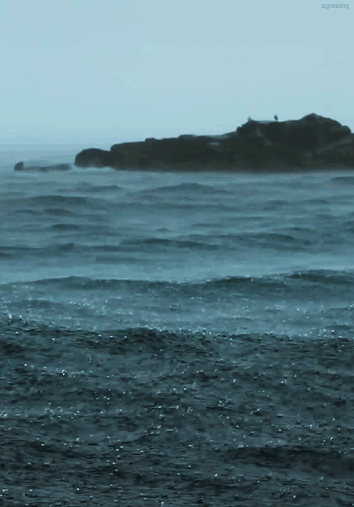quietmidnight:  rain will wash away your pain.